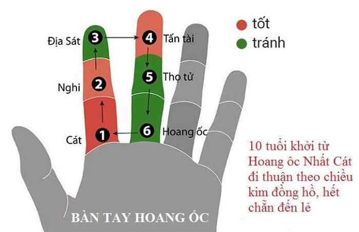 cach tinh tuoi pham hoang oc