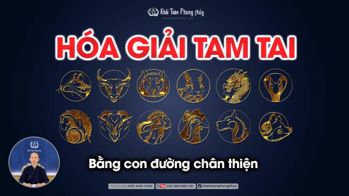 hoa giai tam tai