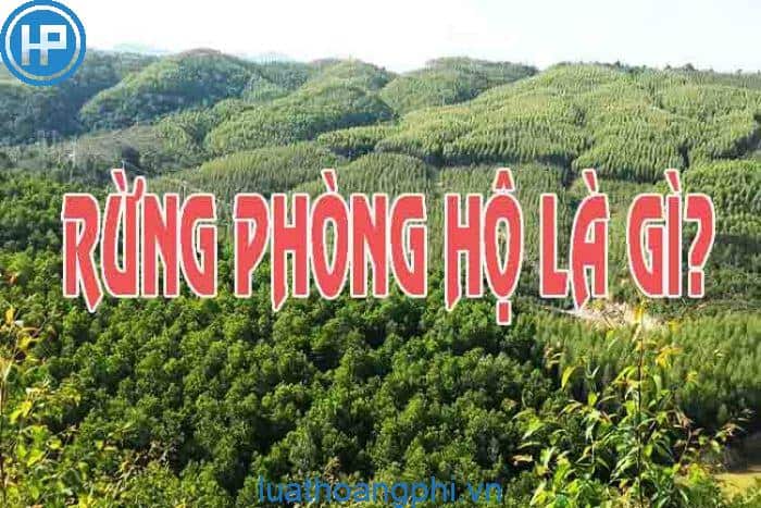 Đất rừng phòng hộ có thể xây nhà không