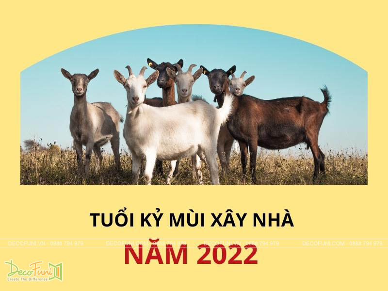 tuoi ky mui xay nha nam 2023