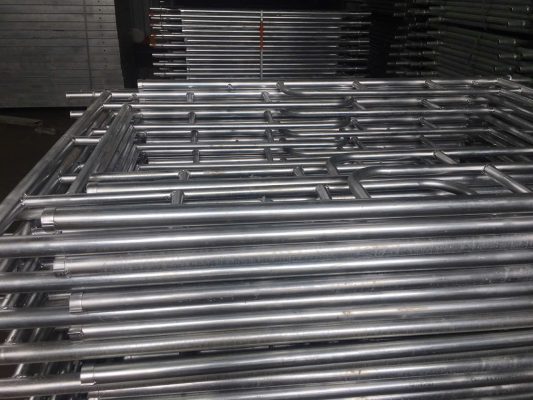 nen thue gian giao hay mua gian giao