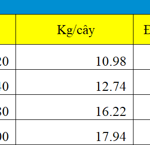 Thép Hộp 50x50 Mạ Kẽm: Bảng Giá Mới Nhất, Quy Cách Và Ứng Dụng bang gia thep hop vuong 50x50 ma kem