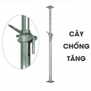 cay chong tang gian giao
